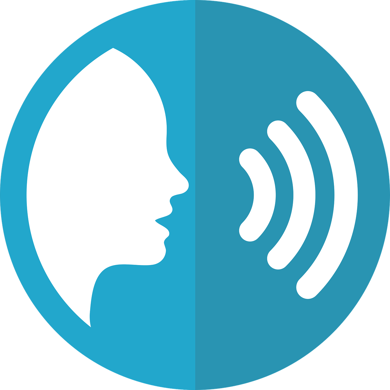Seeing Speech